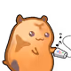 9955