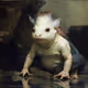 179