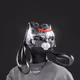 1664