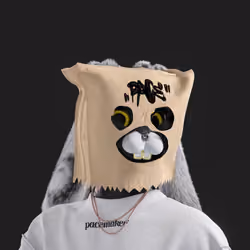 Pacemaker #1312