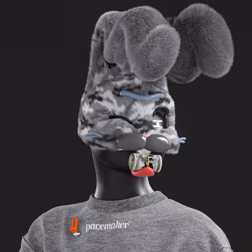Pacemaker #1479