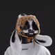 1171