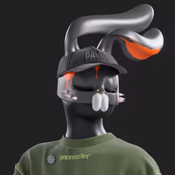 Pacemaker #1764