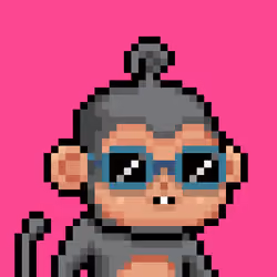 Baby monke #300