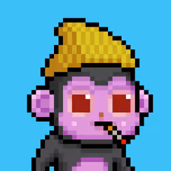 Baby monke #484