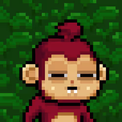 Baby monke #216