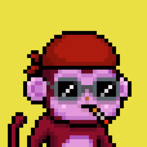 Babymonkes
