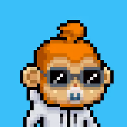 Baby monke #388