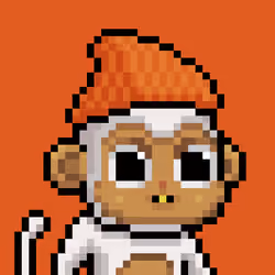 Baby monke #319