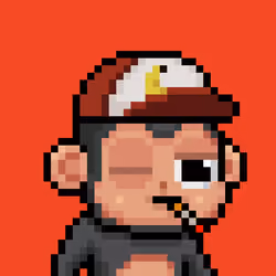 Baby monke #1234
