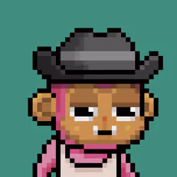 Baby monke #1224
