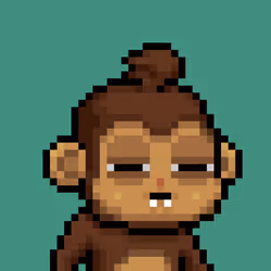 Baby monke #836