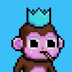 Baby monke #1095