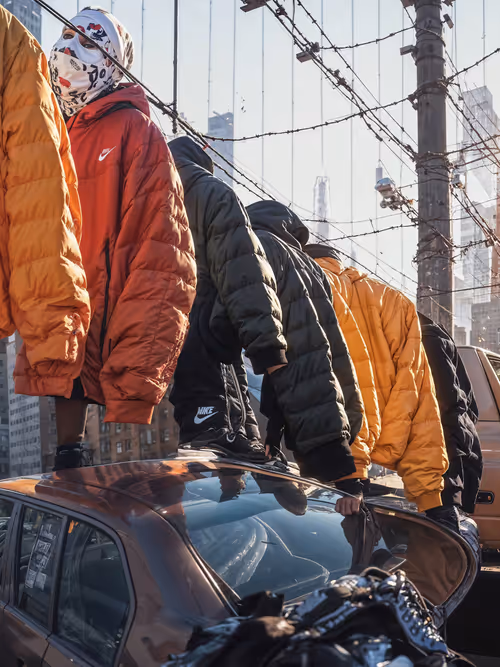 Item #1686956874 Media