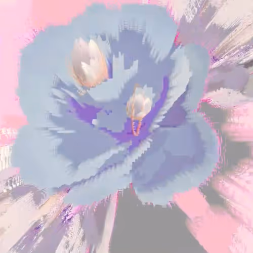 Kokokitsune