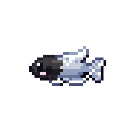 Fish #48