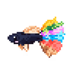 Fish #29