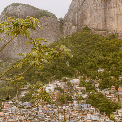 Viver é um Luxo