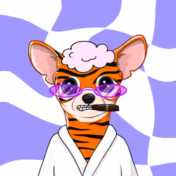 Chihuahuagank #