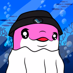 Dainty Dolphins #56
