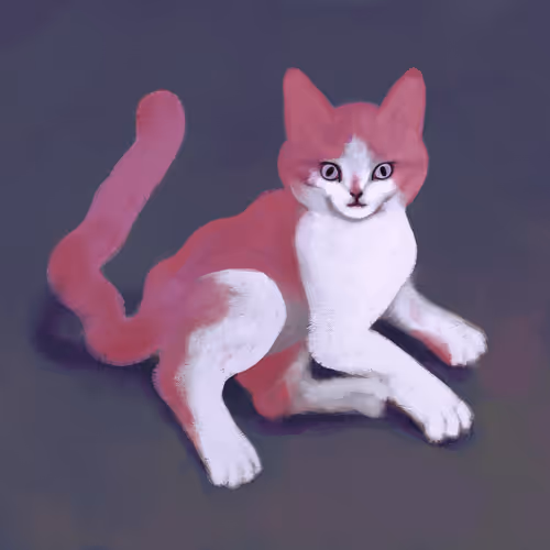 Pink Kitty