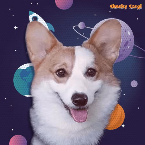 CheekyCorgi #24