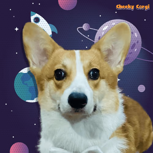 CheekyCorgi #37