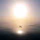 Sea Level V2