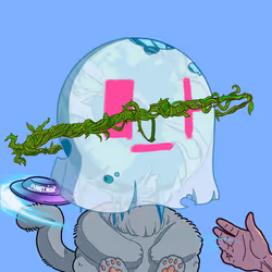 816