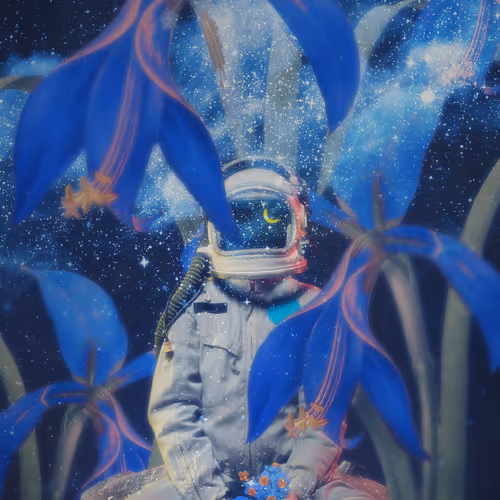 Canverseworld