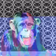 Glitched Apes4Good