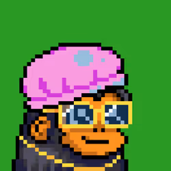 Kid Kongz #3501
