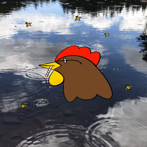 Barnyardcountryclub