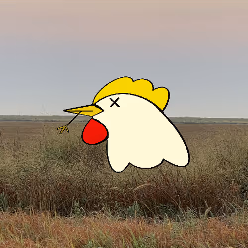Barnyardcountryclub