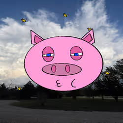 Barnyard friend #29