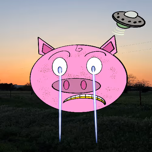 Barnyardcountryclub