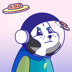#497