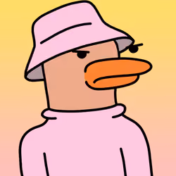 Doockle #9236