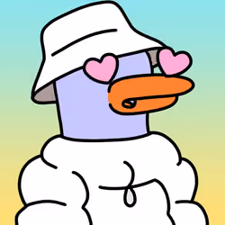 Doockle #2798
