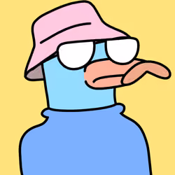 Doockle #5521