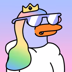 Doockle #9237
