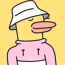 Doockle #6277
