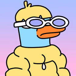 Doockle #3174