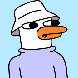 Doockle #796