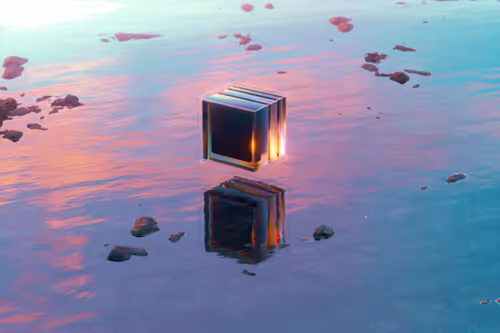 Item #7 Media