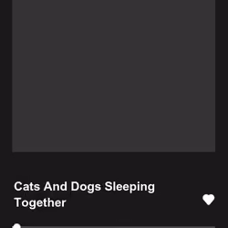 Cats And Dogs Sleeping Together