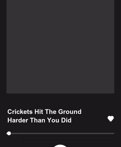 Crickets Hit The Ground Harder Than You Did