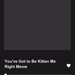 You've Got to Be Kitten Me Right Meow