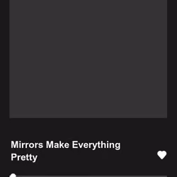 Mirrors Make Everything Pretty