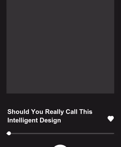 Should You Really Call This Intelligent Design